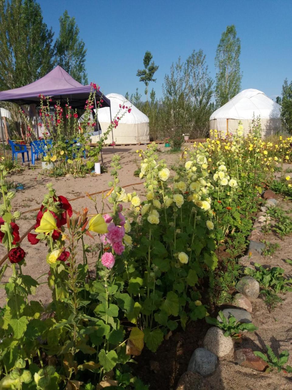 Yurt Camp Tosor Hotel Luaran gambar